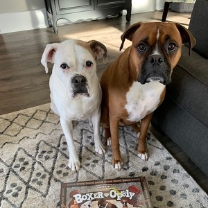 Samantha Louis-Jacques